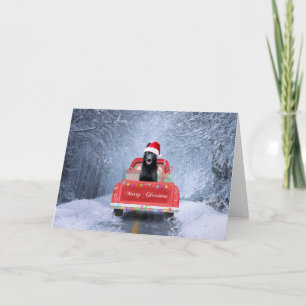 Tarjeta Pastor Alemán Negro Snow sentado en Navidad