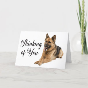 Tarjeta Pastor Alemán Pensando En Ti Perro Cachorro Hola
