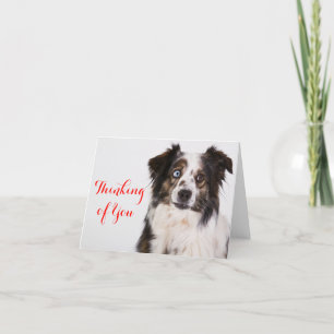 Tarjeta Pastor Australiano Aussie Dog Pensando En Ti