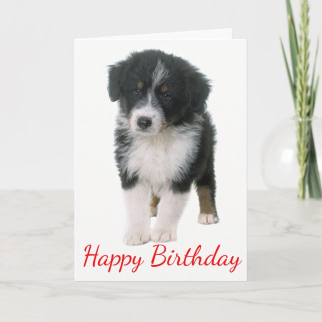 Tarjeta Pastor australiano feliz cumpleaños perro cachorro (Anverso)