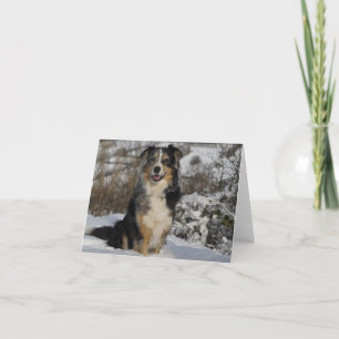 Tarjeta Pastor australiano Perro australiano Hola amor