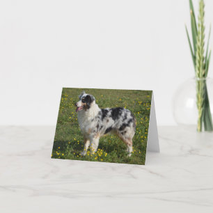 Tarjeta Pastor australiano Perro australiano Hola amor