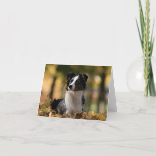 Tarjeta Pastor australiano Perro de cachorro Hola Amor
