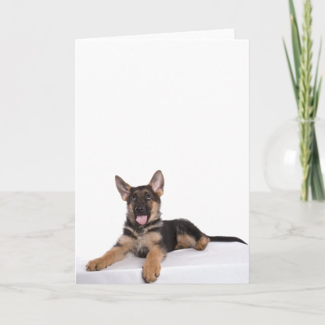 Tarjeta pastor cachorro alemán (Anverso)