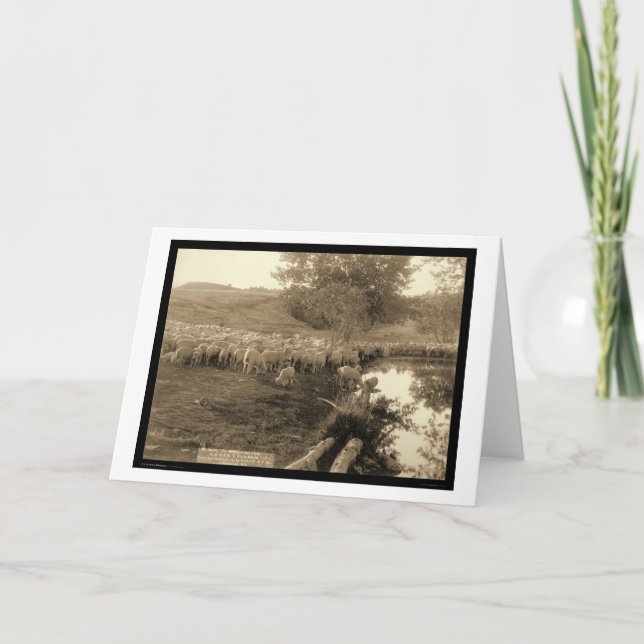 Tarjeta Pastor y multitud Dakota del Sur 1891 (Anverso)