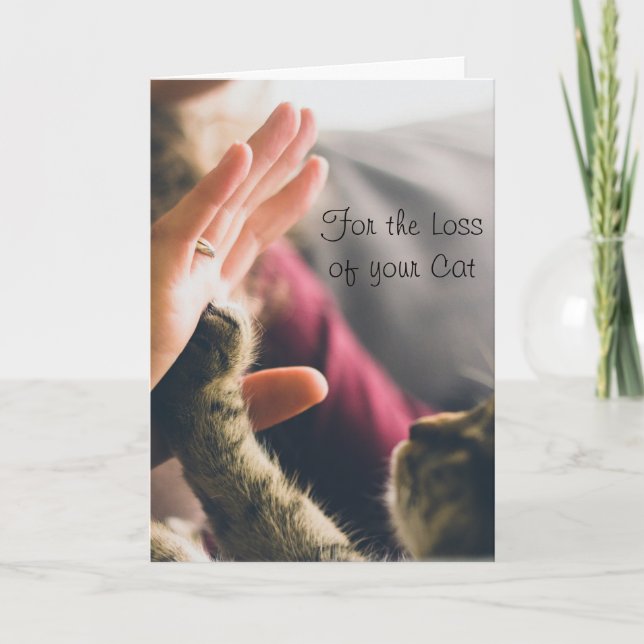 Tarjeta Pata de gato dando un cinco (Anverso)