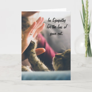 Tarjeta Pata del gato Alta-cinco