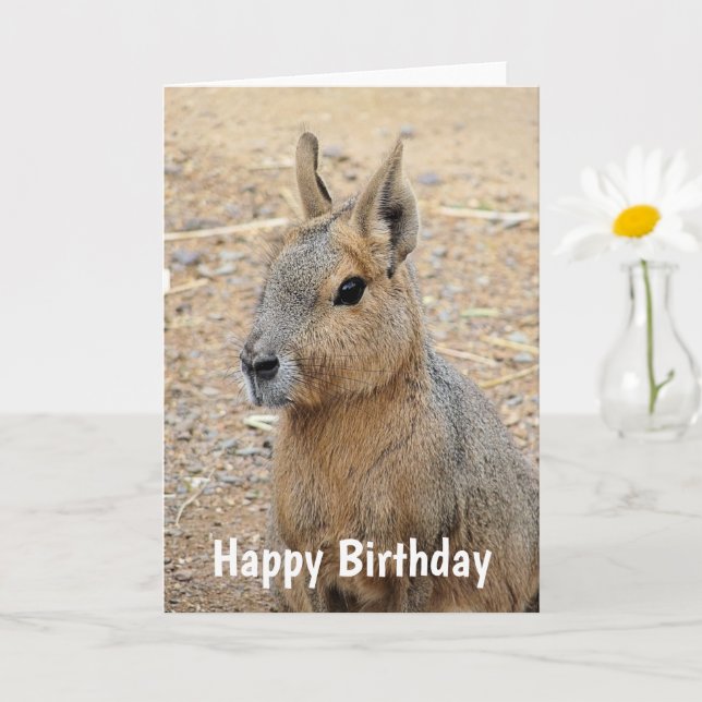 TARJETA PATAGONIAN MARA WILD ANIMAL (Planta pequeña)