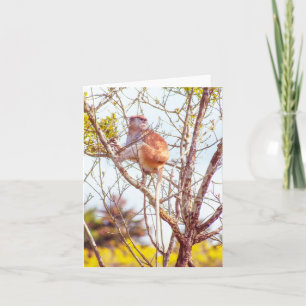 Tarjeta Patas arriba un árbol