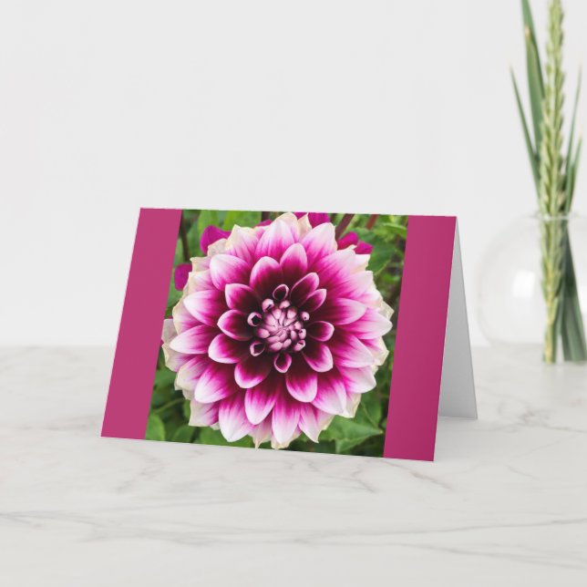 Tarjeta Patches Dahlia (Anverso)