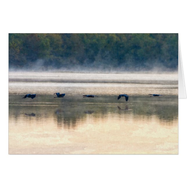 Tarjeta patentada de vuelo Crane (Anverso (Horizontal))