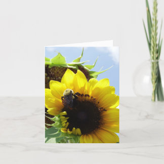 Tarjeta "Patient Industry"