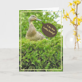 TARJETA PATITO AFORTUNADO/TE TENGO COMO PADRE/PATO ENCIMA