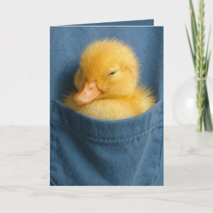 Tarjeta Patito de cumpleaños en el bolsillo de una camiset