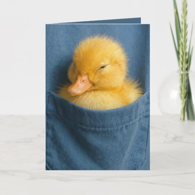 Tarjeta Patito de cumpleaños en el bolsillo de una camiset (Anverso)