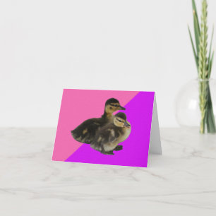 Tarjeta Patitos sobre sorbete de frambuesa rosa y púrpura