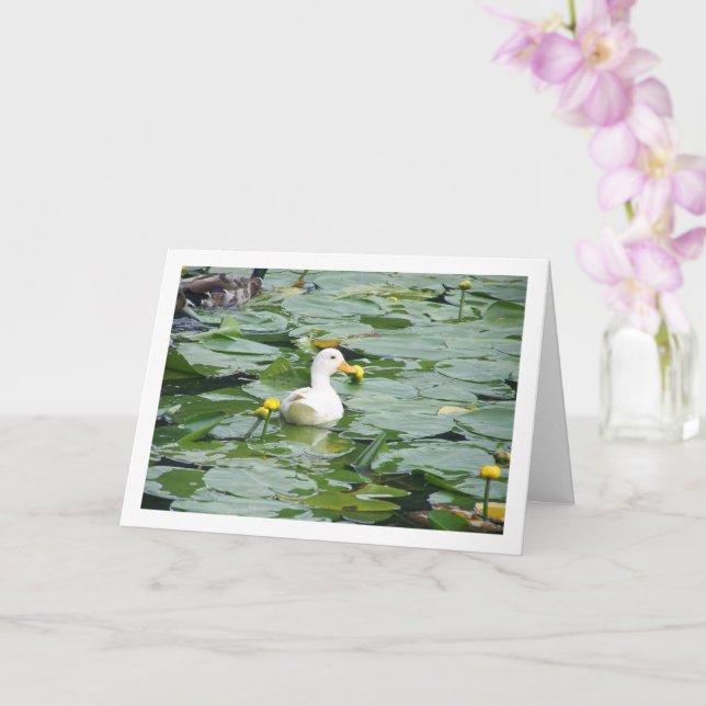 Tarjeta Pato blanco en estanque de lirios (Orquídea)