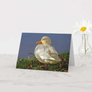Tarjeta Pato blanco pequeño
