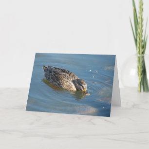 Tarjeta Pato en el agua