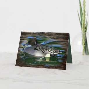 Tarjeta Pato Mallard En El Lago