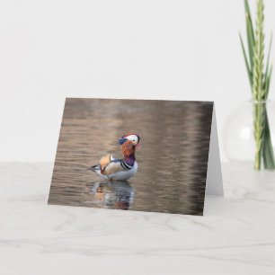 Tarjeta Pato Mandarin