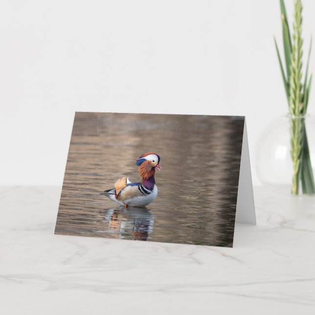 Tarjeta Pato Mandarin (Anverso)