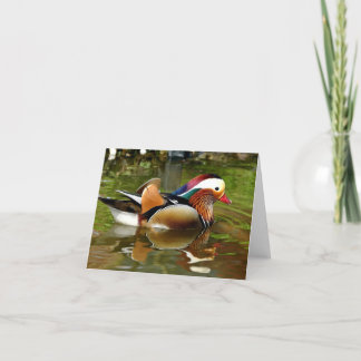 Tarjeta Pato Mandarin