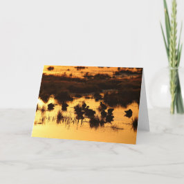 Tarjeta Patos al amanecer
