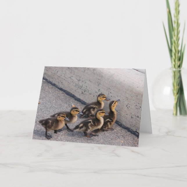 Tarjeta patos de bebé (Anverso)