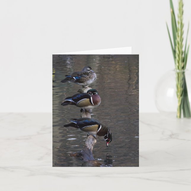 Tarjeta Patos de madera en rama (Anverso)