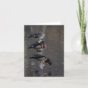 Tarjeta Patos de madera en rama