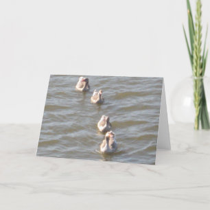 Tarjeta Patos en fila