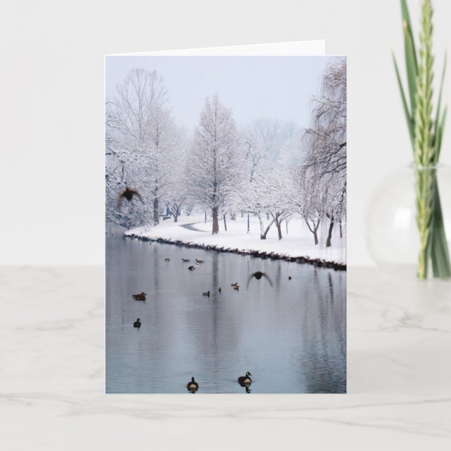 Tarjeta Patos en The Creek (Anverso)