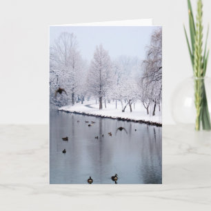 Tarjeta Patos en The Creek