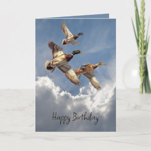 Tarjeta Patos Mallard De Cumpleaños En Sky