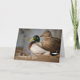 Tarjeta Patos "Pensando en ti"