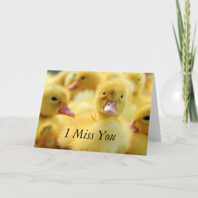 Tarjeta Patos pequeños (Anverso)