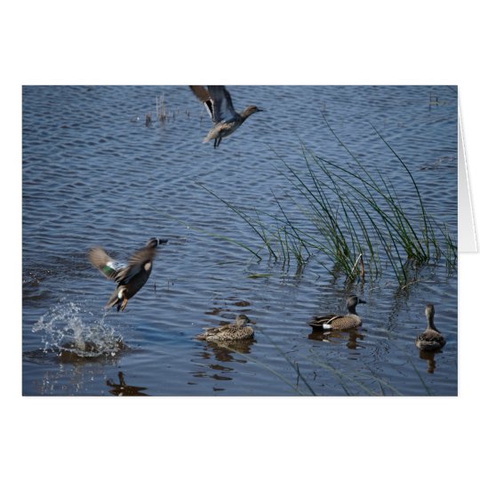Tarjeta Patos que vuelan el día de padre