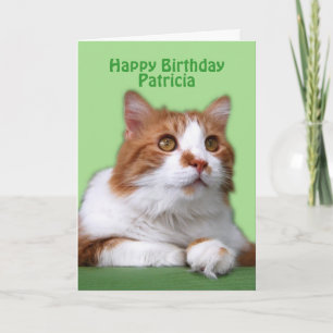 Tarjeta Patricia Happy Birday Naranja y Gato Blanco