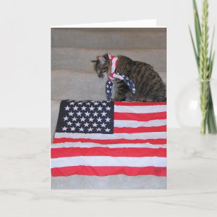 Tarjeta patriótica del gato