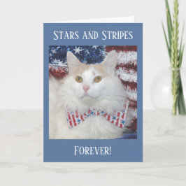 Tarjeta patriótica hermosa del gato blanco y
