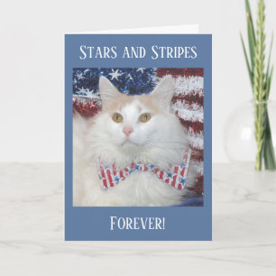 Tarjeta patriótica hermosa del gato blanco y