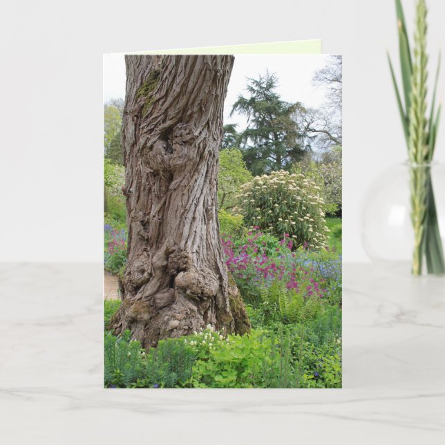 Tarjeta Patrones de corteza texturados de árbol de ceniza  (Anverso)