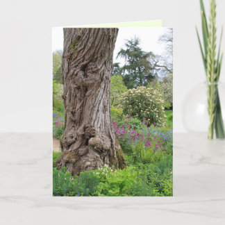 Tarjeta Patrones de corteza texturados de árbol de ceniza 