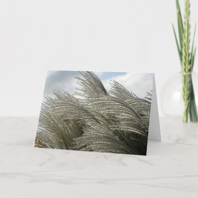 Tarjeta Patrones de la carta de la naturaleza (Anverso)