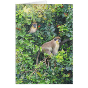 Tarjeta Paul McGehee "Monkeying Around"