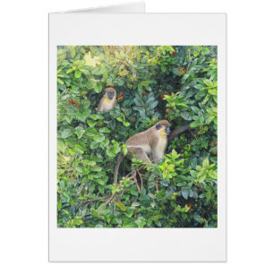 Tarjeta Paul McGehee "Monkeying Around"