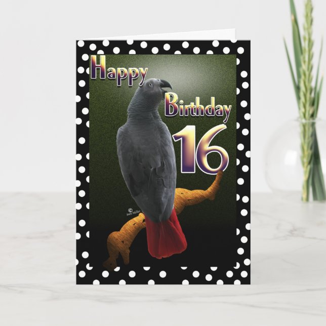 Tarjeta Pavo púlgaro africano púlka punto 16 Cumpleaños (Anverso)