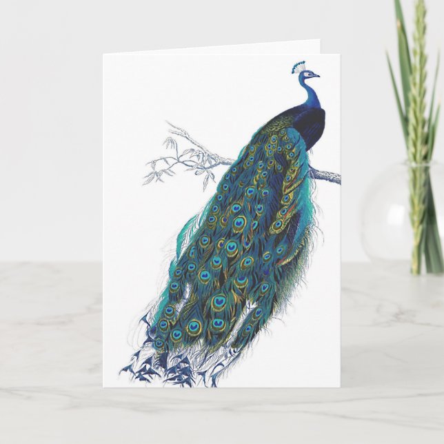 Tarjeta Pavo real azul con las plumas de cola hermosas (Anverso)