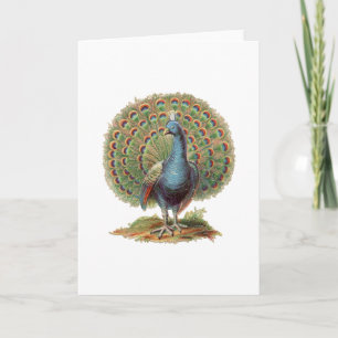 Tarjeta Pavo Real Vintage...notecard